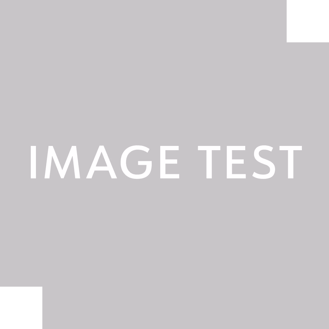 テスト商品(システム検証用)1