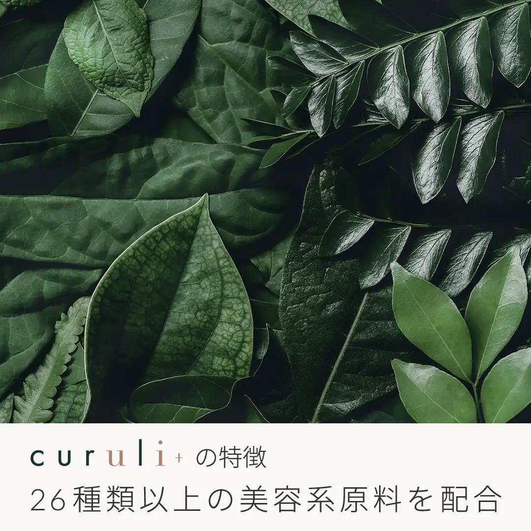 curuli+ TWO(2剤) クルリプラス ラッシュリフト剤2