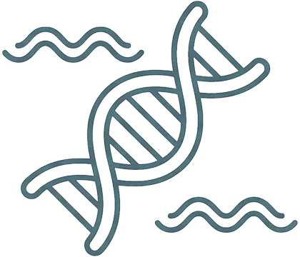 コルテックスケア