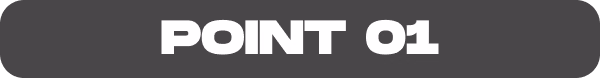 POINT 01
