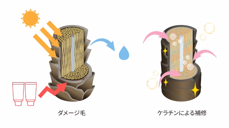 ケラチン×ビタミンC ケア成分