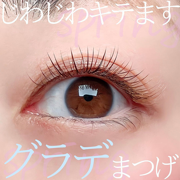 ヌメロカラー